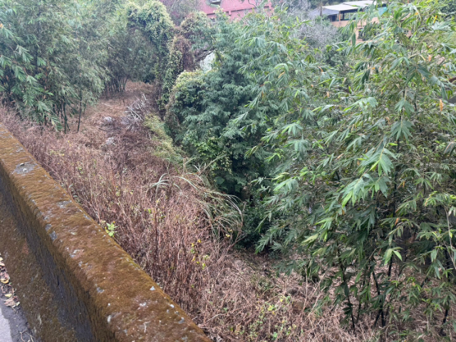 五股買房賣屋臨路竹筍園,新北市五股區五股坑三段