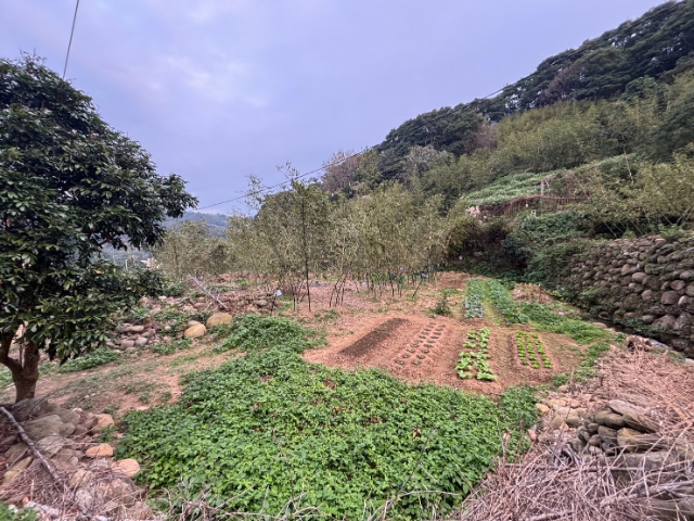 五股買房賣屋大面積好使用土地,新北市五股區五股坑三段