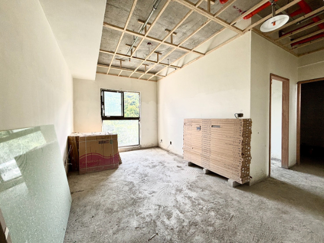 泰山買房賣屋全新高樓明廳大兩房車,新北市泰山區明志路二段